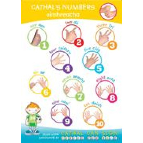 Cathal s Numbers Poster